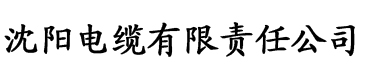 大香蕉日韩在线电缆厂logo